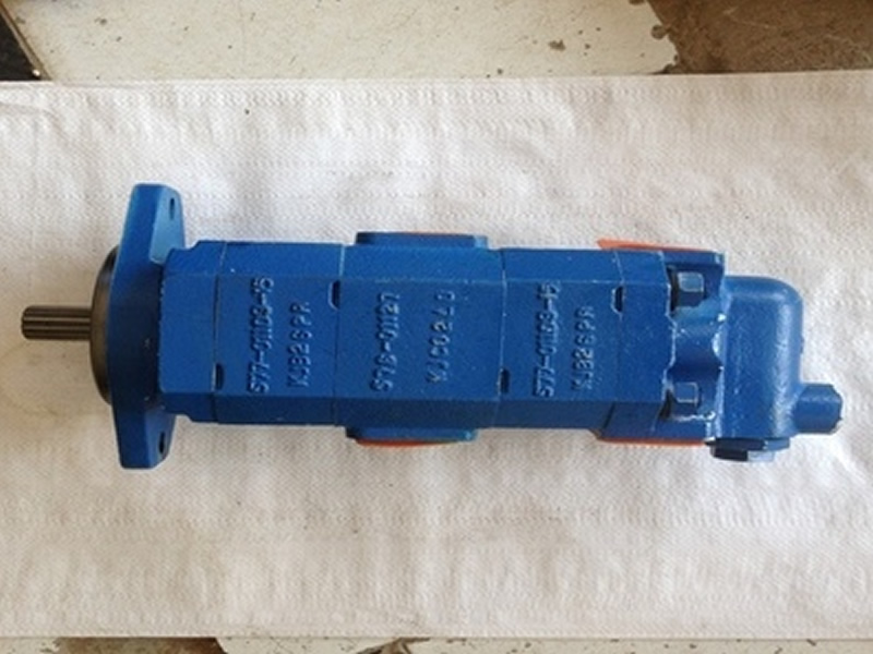 p(lin)Duplex Pump